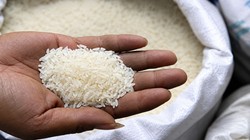 Rice Export: अगले साल घट सकता है भारत का चावल निर्यात, जानें क्या है वजह