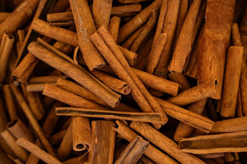 sandalwood cultivation in India