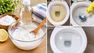 toilet seat cleaning tips | how to clean stains of toilet seat | toilet cleaning tips