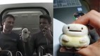 pikachu, iss shubhanshu shukla, astronauts, plush toys, zero gravity indicator,Pikachu in space, Pikachu ISS, Shubhanshu Shukla, Shubhanshu Shukla Joy, Astronauts plush toys,